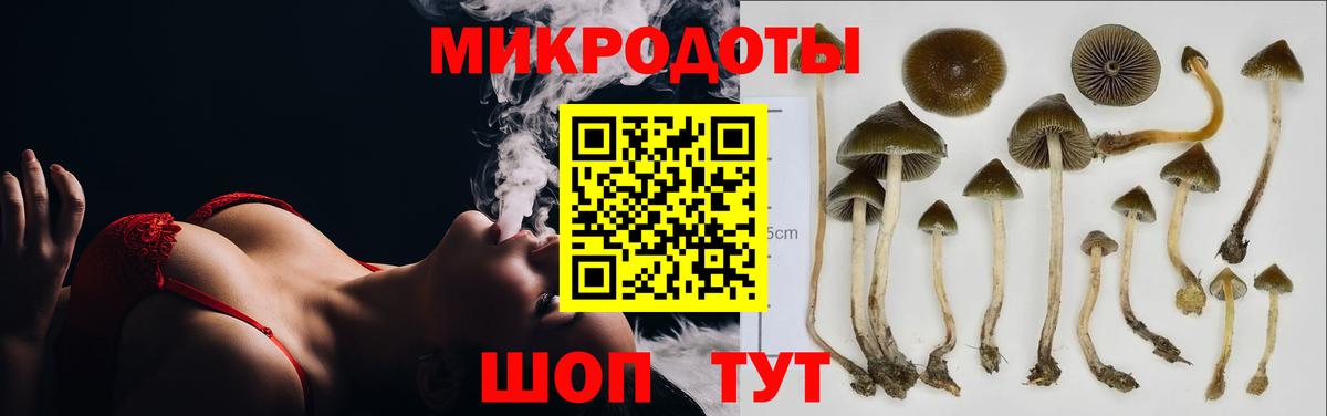 Псилоцибиновые грибы мухоморы  Псилоцибиновые грибы Psilocybe  Новоалтайск  что такое наркотик  Вход с VPN 